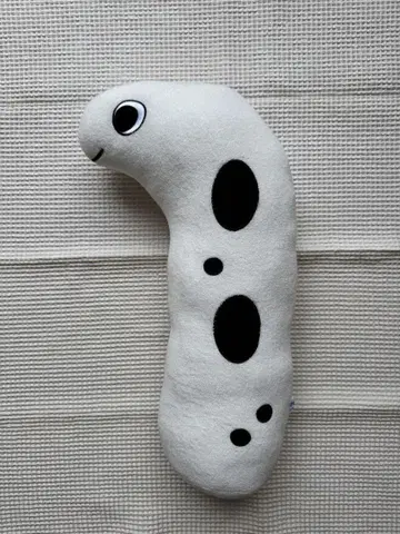 치나고 봉제 인형