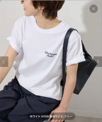스탠다드 레리움
