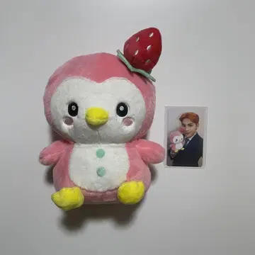 JOCHUM 포포 봉제 인형 트레이딩 카드 세트