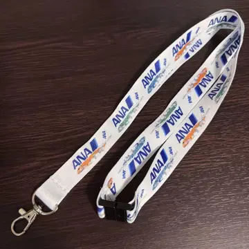 ANA A380 플라잉 호누 라니 카이 라 넥스트랩 하와이
