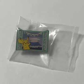 포켓몬 지역 핀즈 컬렉션 후지산 가사구모