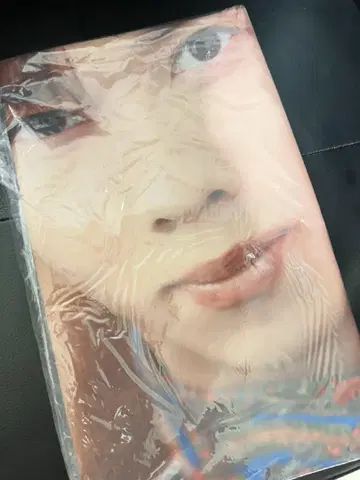 료가의 막