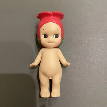 소니 엔젤 장미
