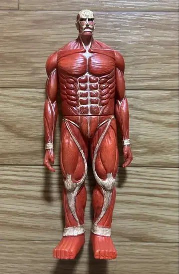 진격의 거인 초대형 거인 근육질 소프트 비닐 피규어