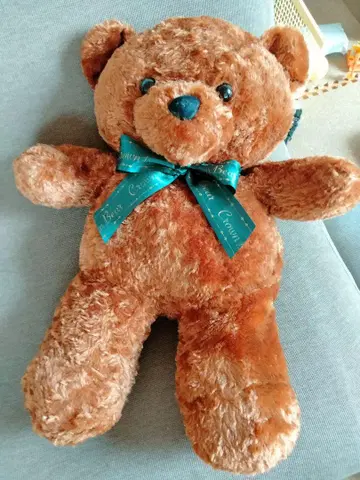 Bear Crown 테디베어 브라운