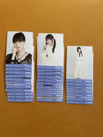 노기자카46 브로마이드 메쉬 니트 정리