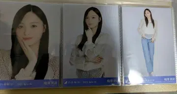 우메자와 미나미 브로마이드