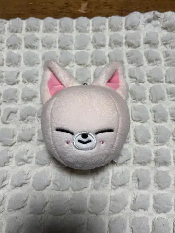 푸딩 백 참 Stray Kids