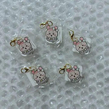 치이카와 초 매지컬 헌책방