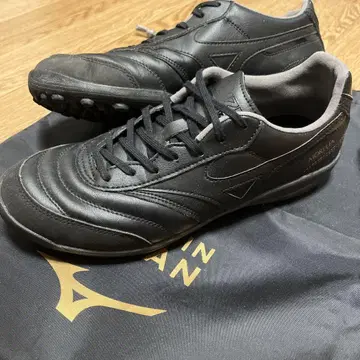 모레리아 SALA PRO TF
