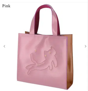 tsumori chisato carry 키라네코 에코 가죽