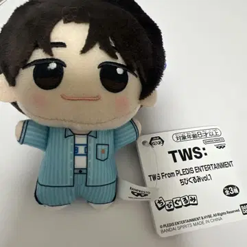 tws 시누 SD 인형