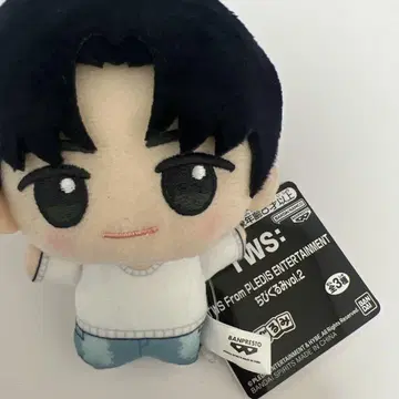 tws 용제 SD 인형