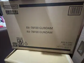 DX 초합금 GUNDAM FACTORY YOKOHAMA RX-78F00