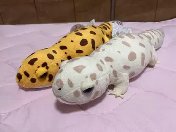 레오파드 도마뱀 봉제 인형 2개 세트