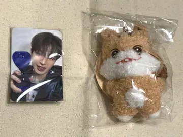 ANITEEZ IN TREASURE 홍준 MINI PLUSH 인형