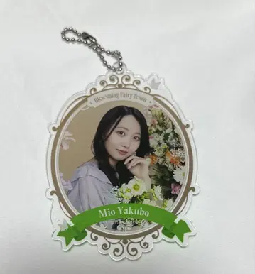 노기 메쿠리 B상 야쿠보 미오