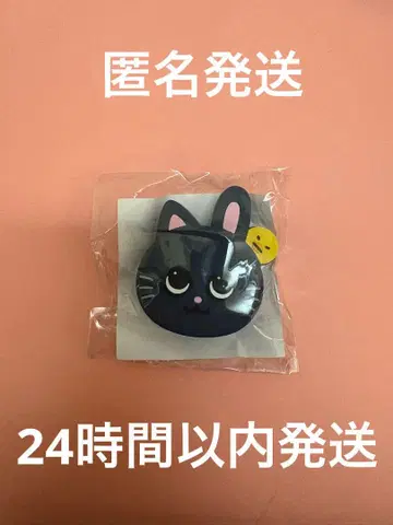 RIIZE 원빈 RIIZINGLOUD 랜덤 토이 부채 액세서리