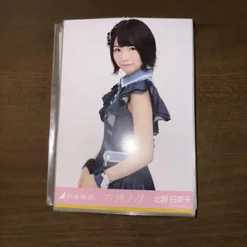 노기자카46 묶음 판매 키타노 히나코 35장 중복 없음 브로마이드