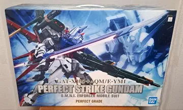 1/60 퍼펙트 스트라이크 건담