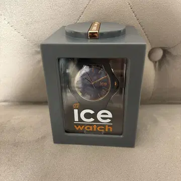 Ice Watch 브라운 아날로그 시계