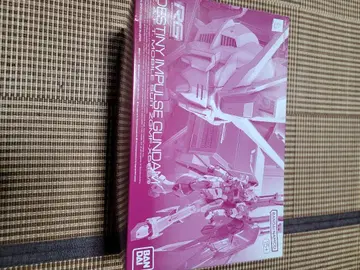RG DESTINY IMPULSE GUNDAM