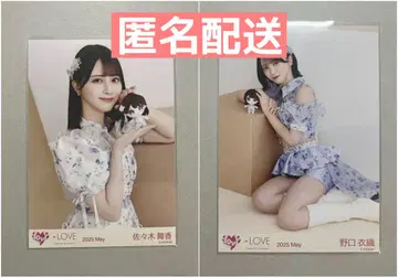 =LOVE 사사키 마이카, 노구치 이오리 브로마이드 봉제 인형 마스코트
