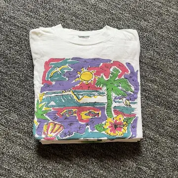 90s USA제 ONEITA 티셔츠 아트 코코아 비치 빈티지