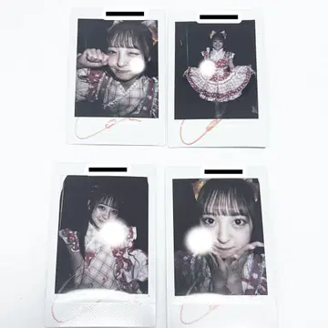 논피쿠루네 폴라로이드