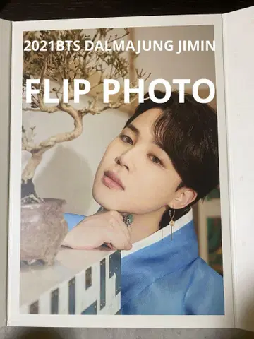 2021 BTS 달마정 플립 사진 지민