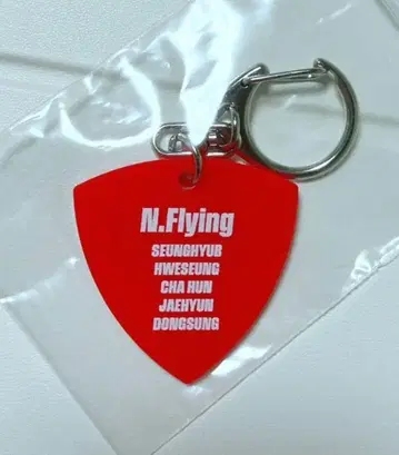 FNC 밴딩 KINGDAM N.Flying 피크형 키링