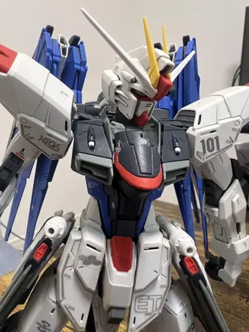 MG ZGMF Z-10A FREEDOM 페인팅 완성품