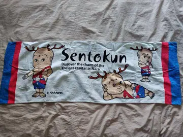 센토군 타월