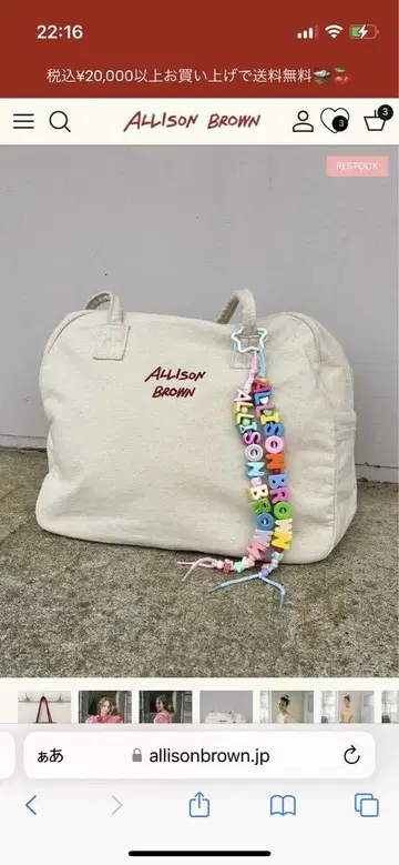 앨리슨 브라운 사에코 HOLIDAY CANVAS BAG