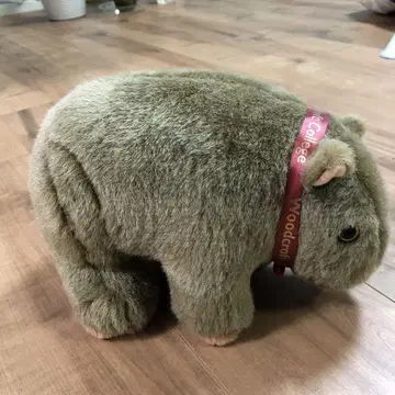 원밋트 봉제 인형