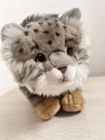 우에노 동물원 마누루 고양이 봉제 인형