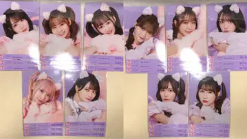 이코러브 고양이 의상 브로마이드 풀 컴프