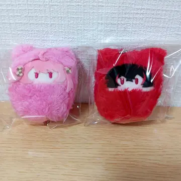 컬러풀 피치 싸개 타피누이 노아 유안군 2개 묶음 판매