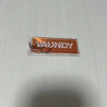 VAUNDY 로고 키링 오렌지