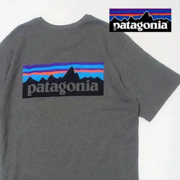 Patagonia / 백 프린트 티셔츠 S