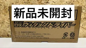 DX 비전 드라이버
