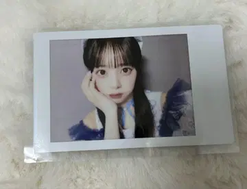 마스다 아야노 폴라로이드
