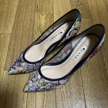 다이애나 회화 시리즈 가쓰시카 호쿠사이 힐 펌프스 23.5cm