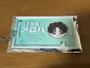 초특급 EVE 알로하 티켓 키링