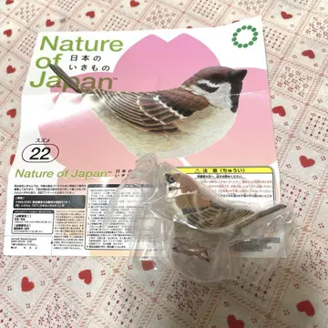Nature of japan 일본의 생물 스즈메