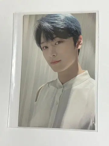 도보이즈 Road to kingdom md 트레이딩 카드 주용