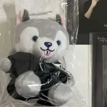 노킹 온 락 도어 노키도어 고텐바 타오리 SixTONES 마쓰무라 호쿠토