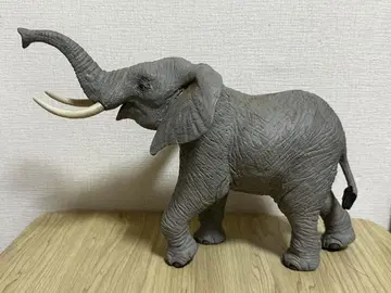 사파리 아프리카 코끼리