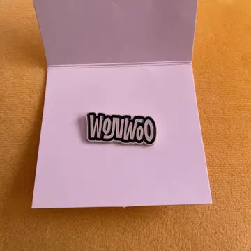 SEVENTEEN Holiday 원우 핀즈