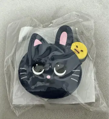 RIIZE 원빈 부채 액세서리